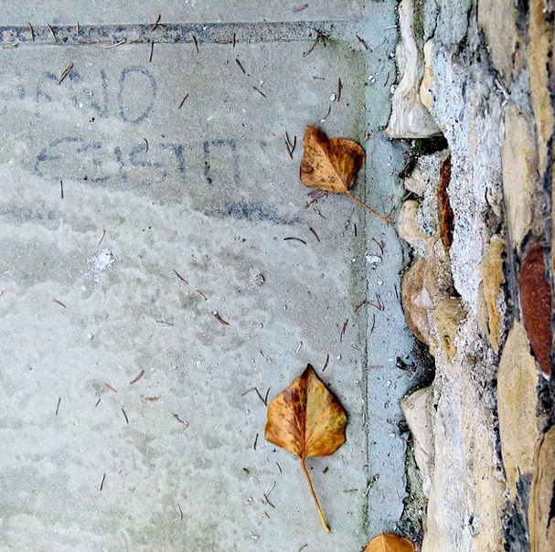 Scritte – Linda Klobas