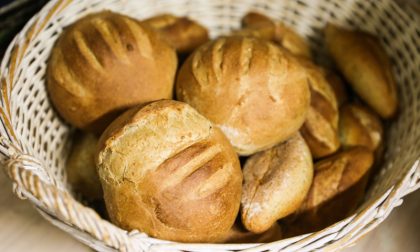 Zero Bakery in via Palazzolo Dove il pane è fatto come si deve