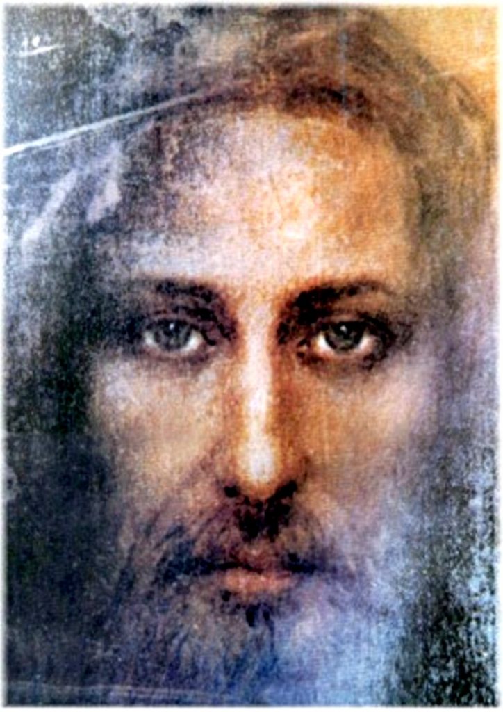 VOLTO3.1