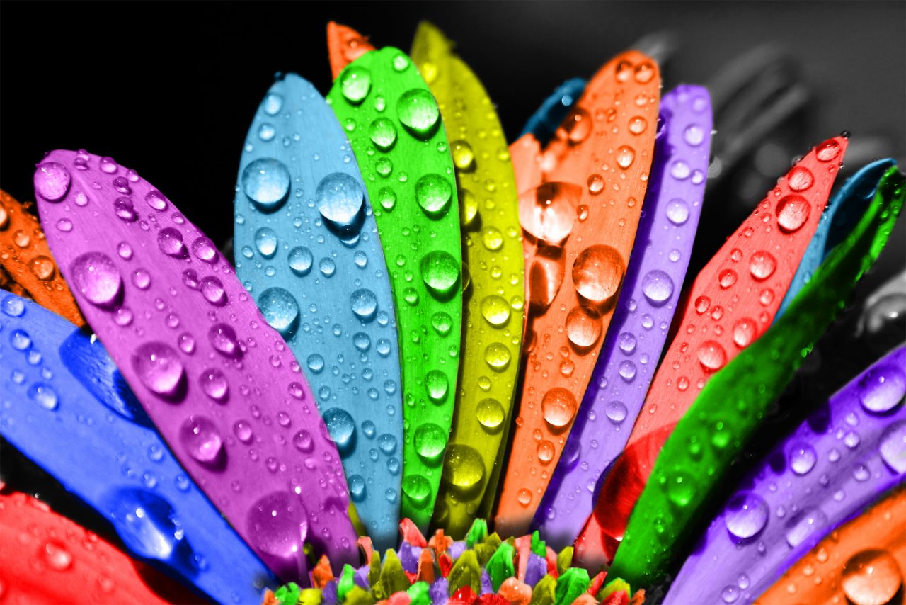 Come vendere usando i colori (anche l’occhio vuole la sua parte)