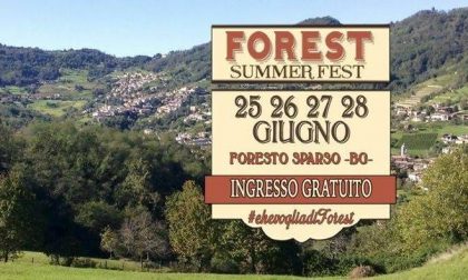 Forest Summer Fest, che musica! Ragazzi, è da matti non andarci