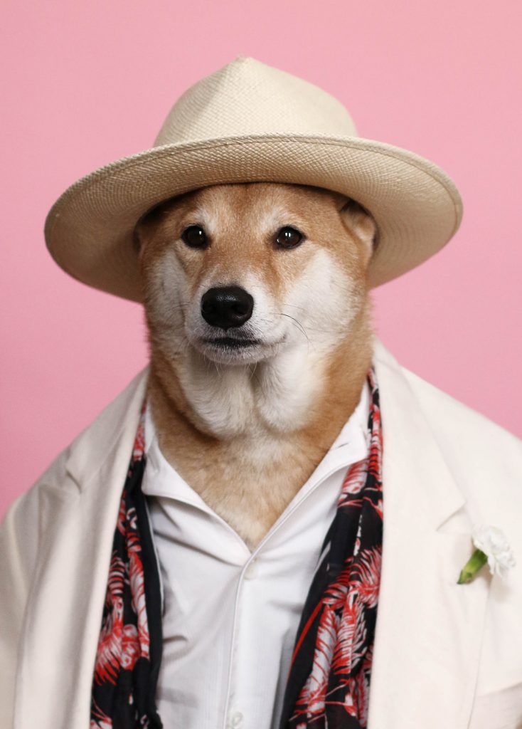 New York, NY-05/14/15 Menswear Dog Destination Wedding