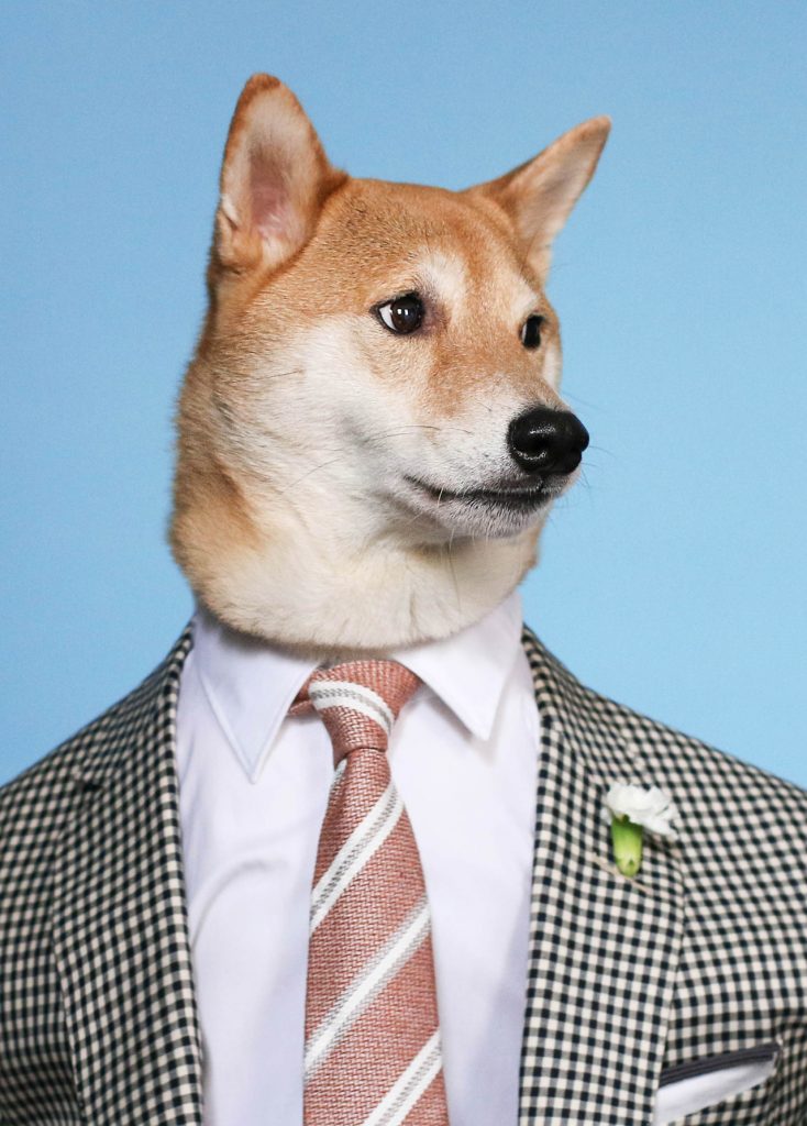 New York, NY-05/14/15 Menswear Dog Destination Wedding
