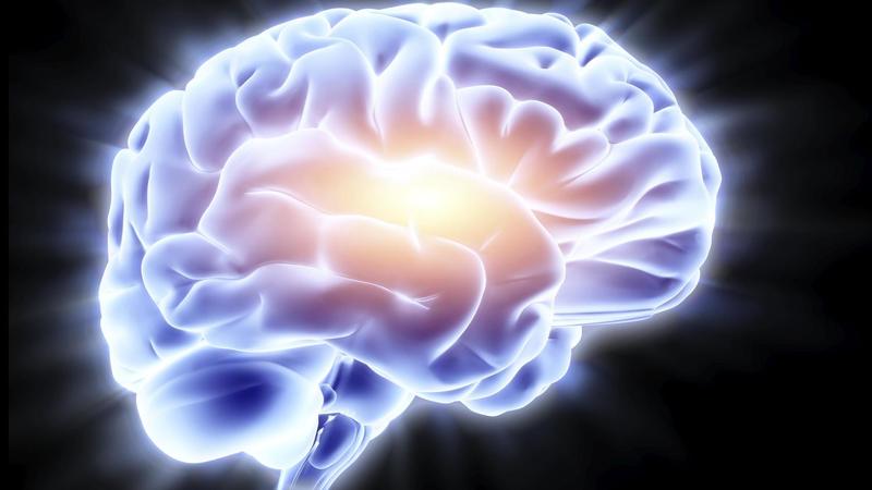Nella vita c’è sempre un piano B Il vostro cervello lo sa meglio di voi