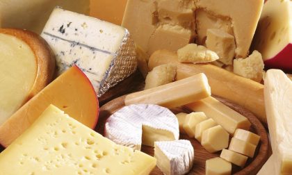 Il formaggio prodotto senza il latte? Mangiatevelo voi, cari burocrati UE