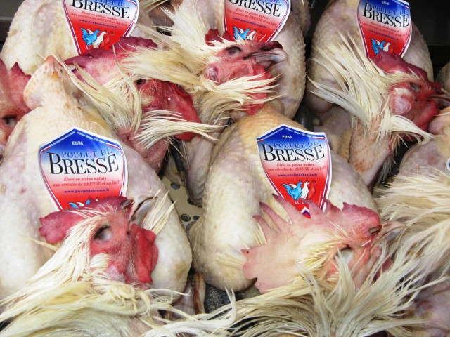 poulet-de-bresse-marchio-640x480