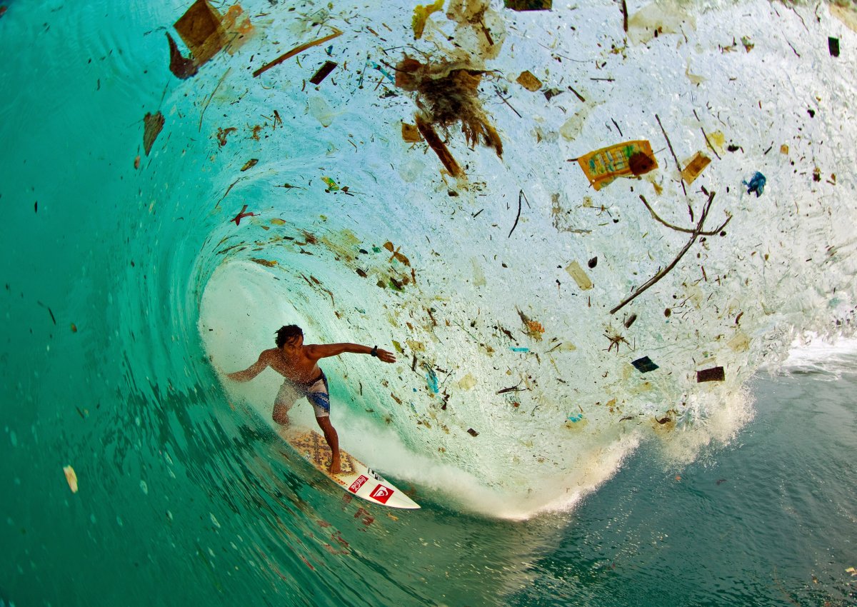 surf indonesiaù