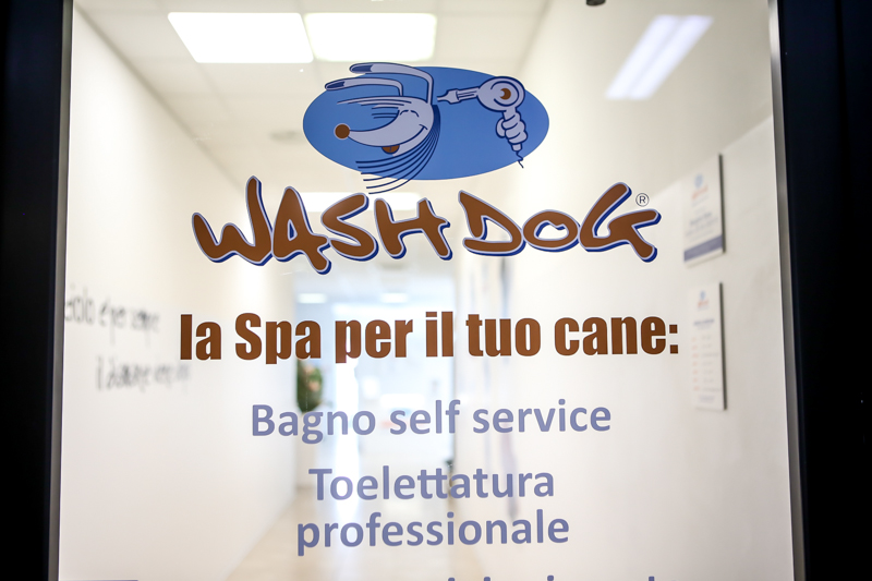 wash dog foto devid rotasperti (17)