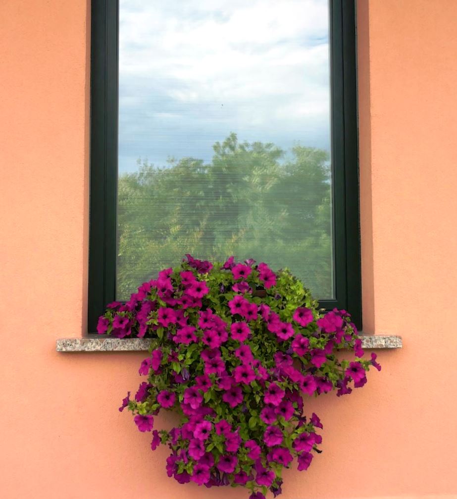Ambivere – Giovanna Ravasio