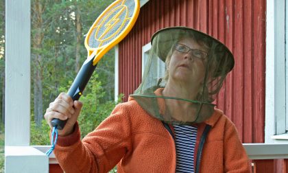10 buoni consigli (oltre all'Autan) per sopravvivere alle zanzare
