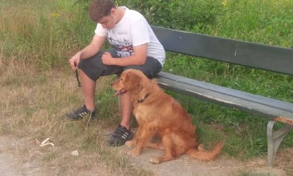 La toccante amicizia tra Edo e Belle Quando un cane capisce l'autismo