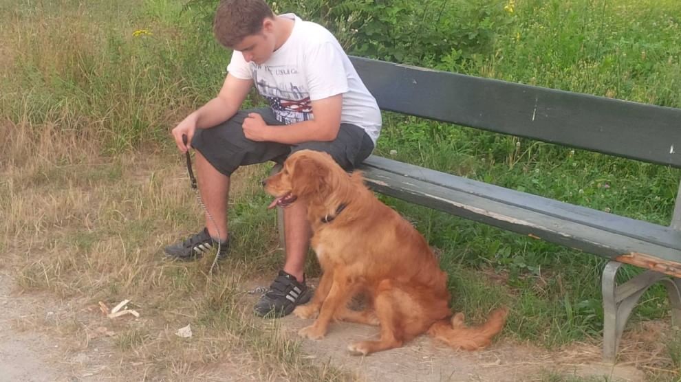 La toccante amicizia tra Edo e Belle Quando un cane capisce l’autismo