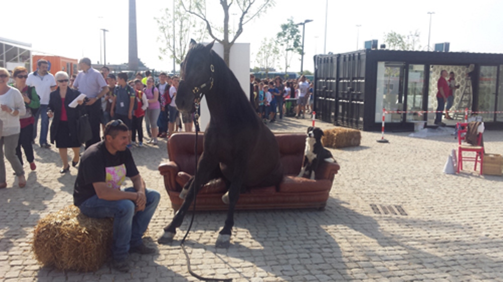 10 frasi dei bergamaschi all’Expo