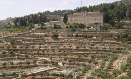 Il vino del Monastero del Cremisan e le minacce del muro di Israele