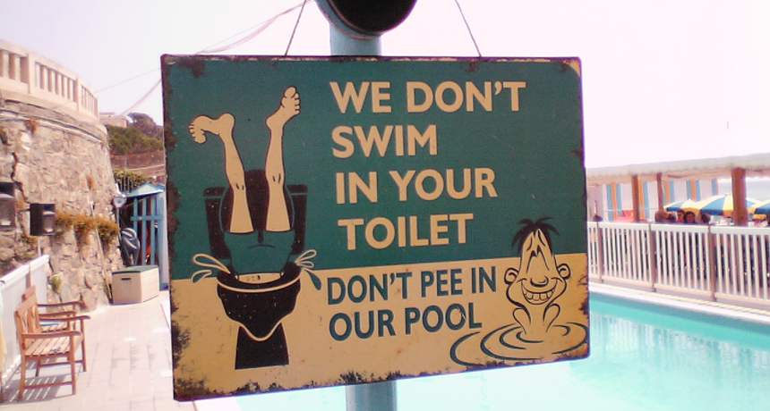 gory_dont_pee_in_pool_free