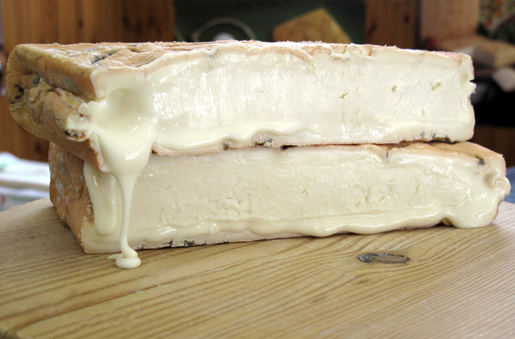 Cinque notizie che non lo erano Una sull’Ue e i formaggi senza latte