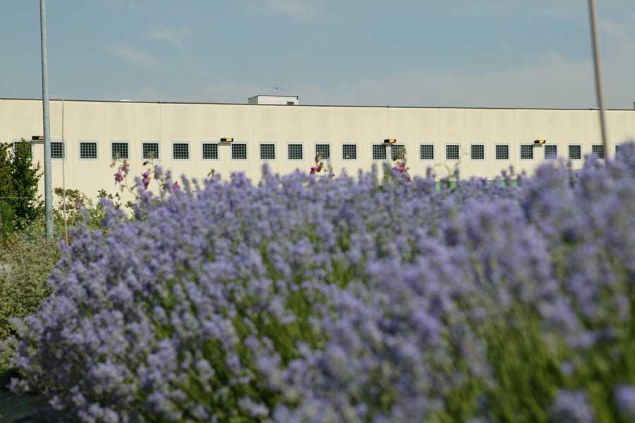 Nel carcere modello di Bollate ora c’è un ristorante aperto a tutti