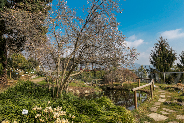 17_Orto botanico
