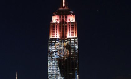 E anche l'Empire State Building s'illumina per Cecil (e tutti gli altri)