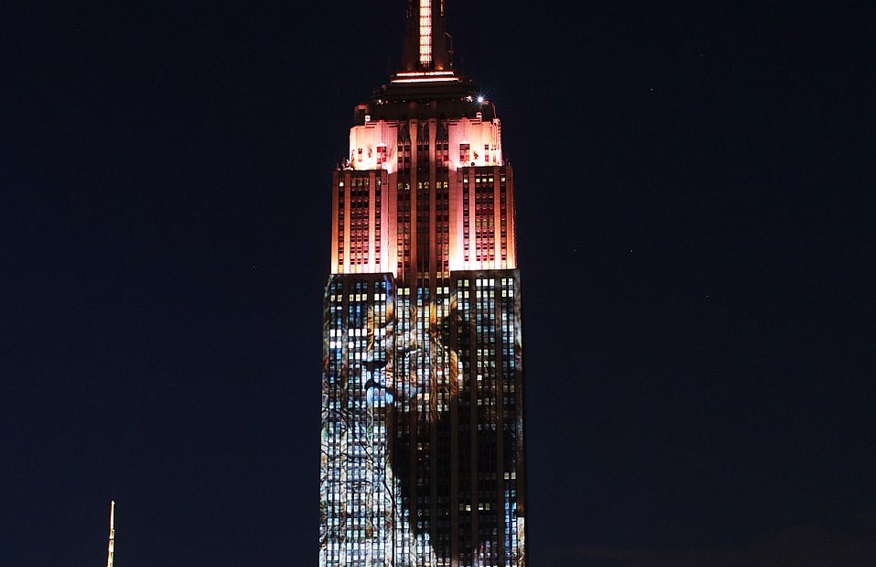 E anche l’Empire State Building s’illumina per Cecil (e tutti gli altri)