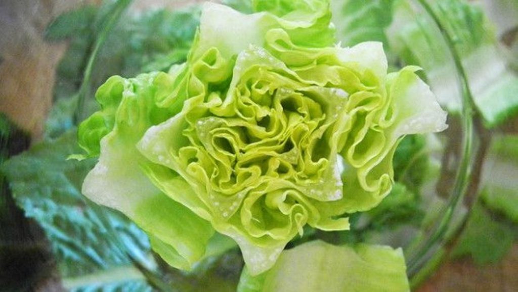 Ti piace l’insalata? Sei un pazzo (La crociata del Washington Post)