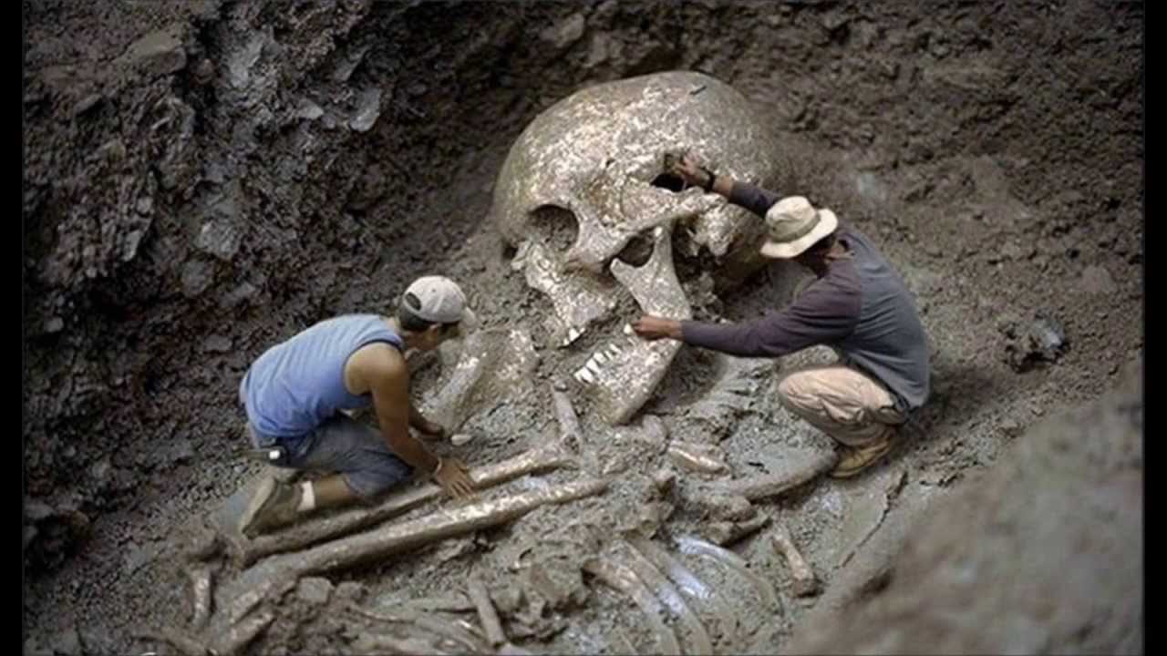 Cinque notizie che non lo erano Ossa di gigante in Sardegna? Ma va!