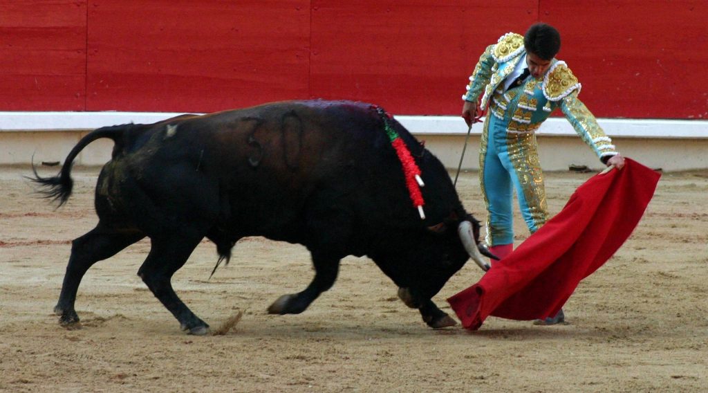 Podemos ha vietato le corride (che sono Patrimonio Culturale)