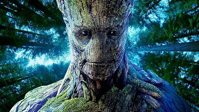Quando il cinema fa stare meglio Storia di un bimbo che dice «Groot»