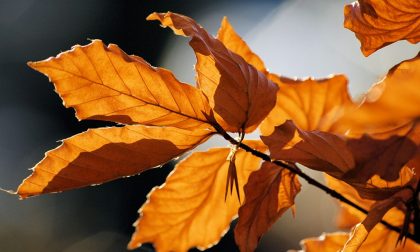 Il primo giorno d'autunno