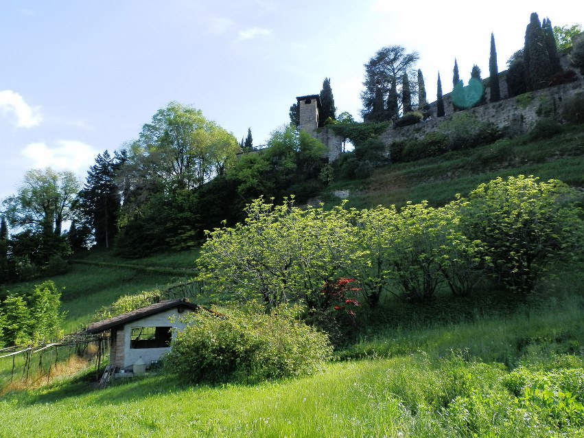 Palazzo Moroni - Il Parco