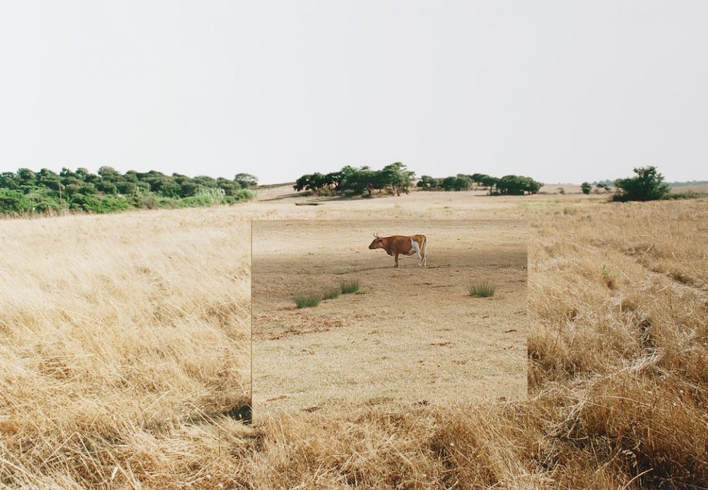 Uno scatto di Galvani ad Art Up Quel che c’è oltre la fotografia