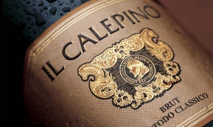 L'azienda Il Calepino dei Plebani Ovvero, la Franciacorta bergamasca