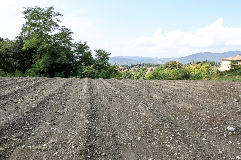 cascina serica foto devid rotasperti (35)