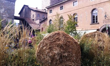 È tornata Piazza Vecchia in verde Lo stupore è di nuovo di casa