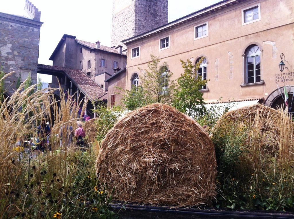 Piazza Vecchia