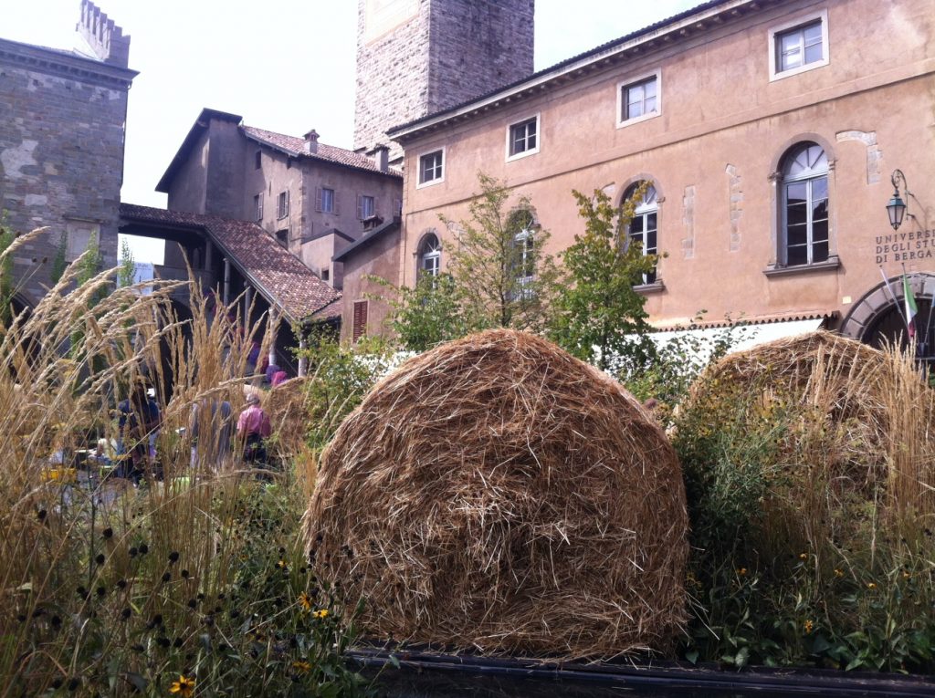 foto maestri del paesaggio