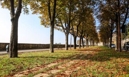 Le mura d'autunno - D. Rotasperti