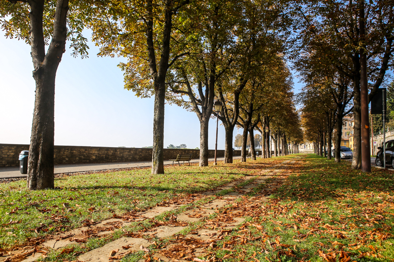 Le mura d’autunno – D. Rotasperti