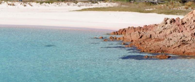 Come lo Stato s’è fatto soffiare l’isola di Budelli da un privato
