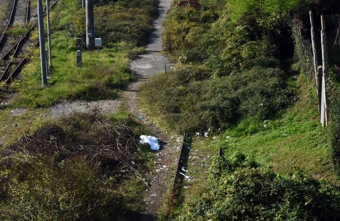 Notizie su Bergamo e provincia (19-24 ottobre 2015)