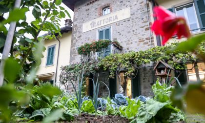 La Trattoria Visconti ad Ambivere Tutta l'eleganza della tradizione