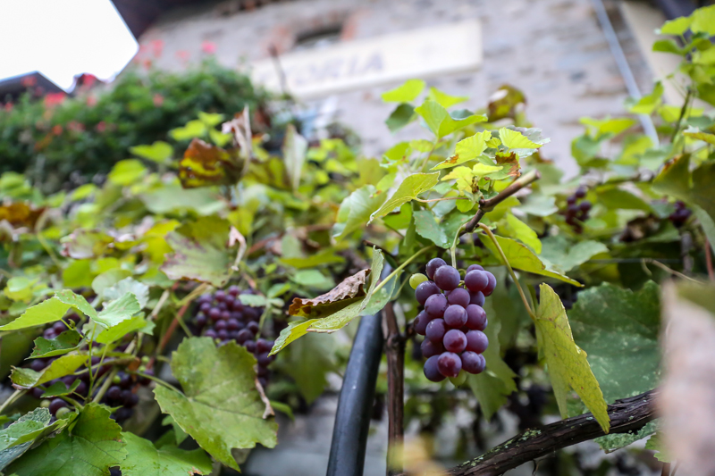 trattoria visconti fotografo devid rotasperti (4)