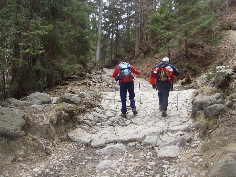 Rifugio Alpe Corte e Zulino Basso