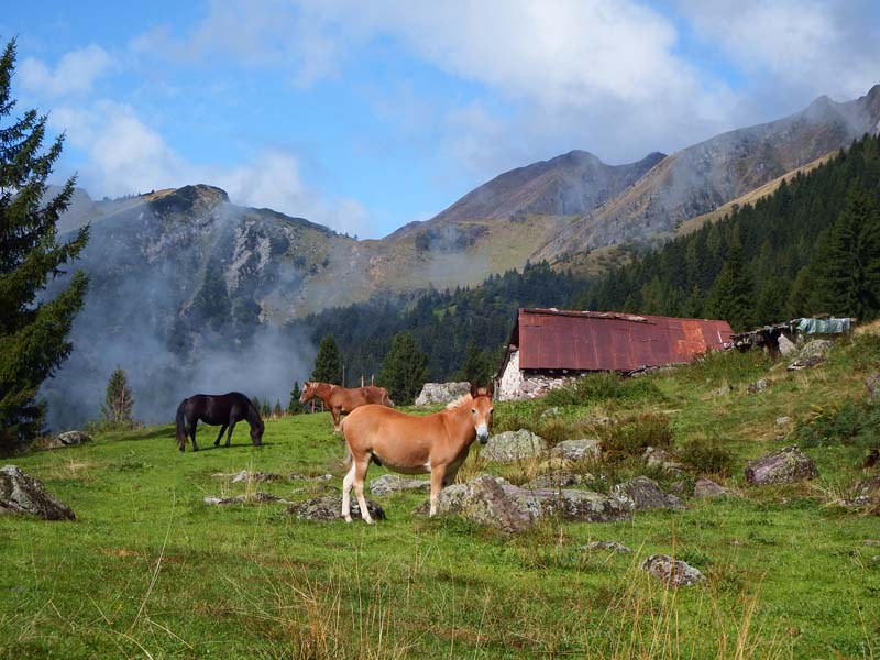 Rifugio Alpe Corte e Zulino Basso