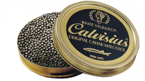 Calvisius-corr-500x279