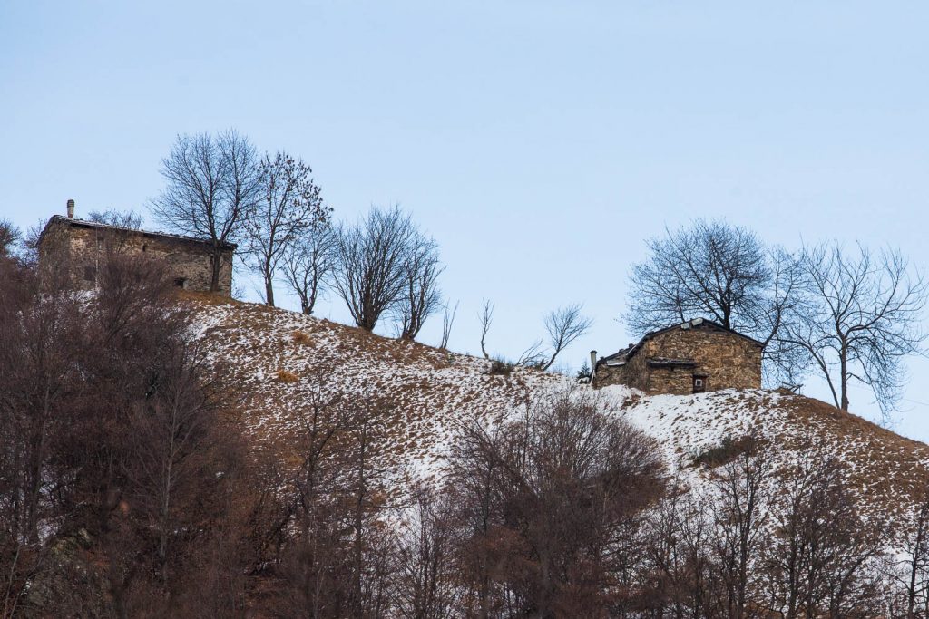 senza titolo-14