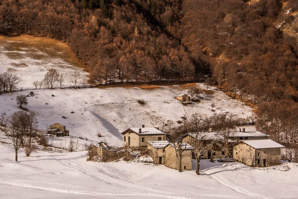 senza titolo-2