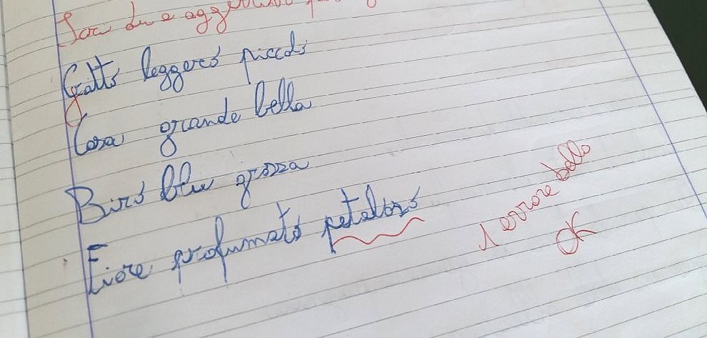 6 motivi per cui quella di “petaloso” è in effetti proprio una bella storia