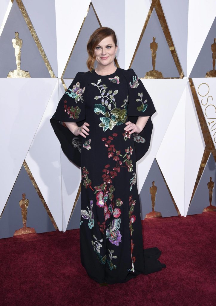 Amy Poehler in Andrew Gn