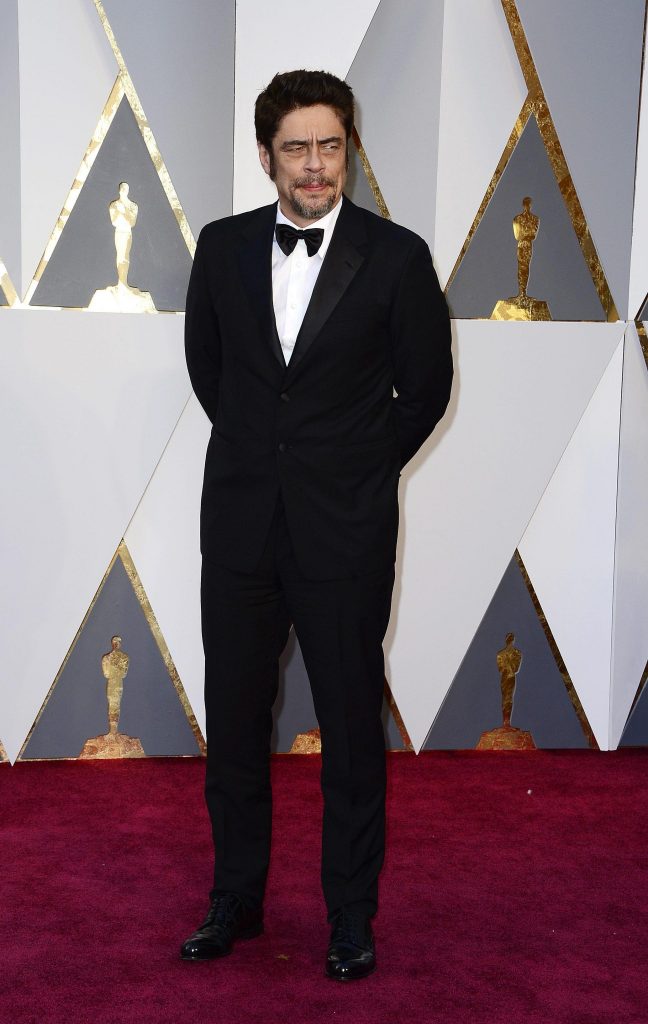 Benicio Del Toro in Prada